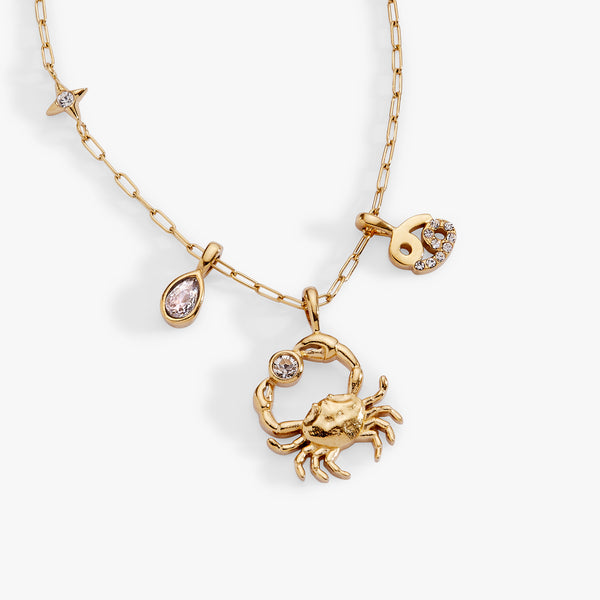 Cancer Charm Cluster Necklace | Alex and Ani – ALEX AND ANI