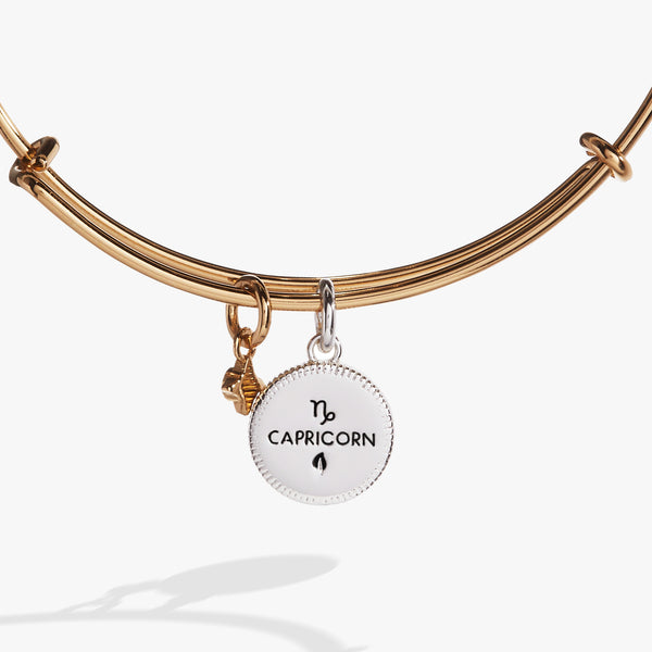 Capricorn Zodiac Zodiac Sign Bracelet Charms Capricorn Zodiac