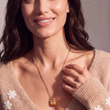 alex-and-ani_dainty-charm-necklace_260710_78d32d.png