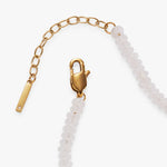 Stainless Steel Gold
