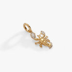 Stainless Steel Gold