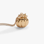 pumpkin-patch-locket-necklace-4-AO260507FSG