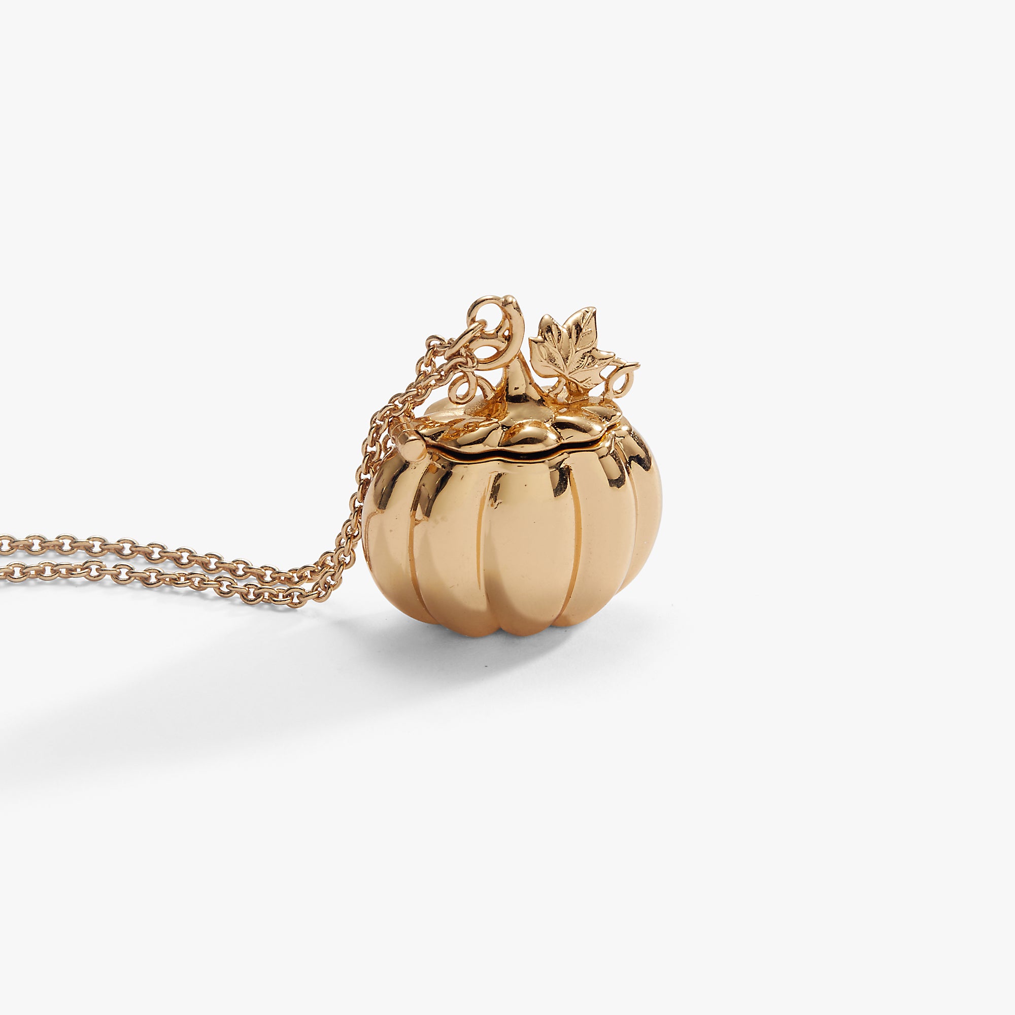 pumpkin-patch-locket-necklace-4-AO260507FSG
