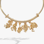 acotar-book-series-charm-bangle-2-AL260791FSG