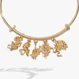 acotar-book-series-charm-bangle-2-AL260791FSG