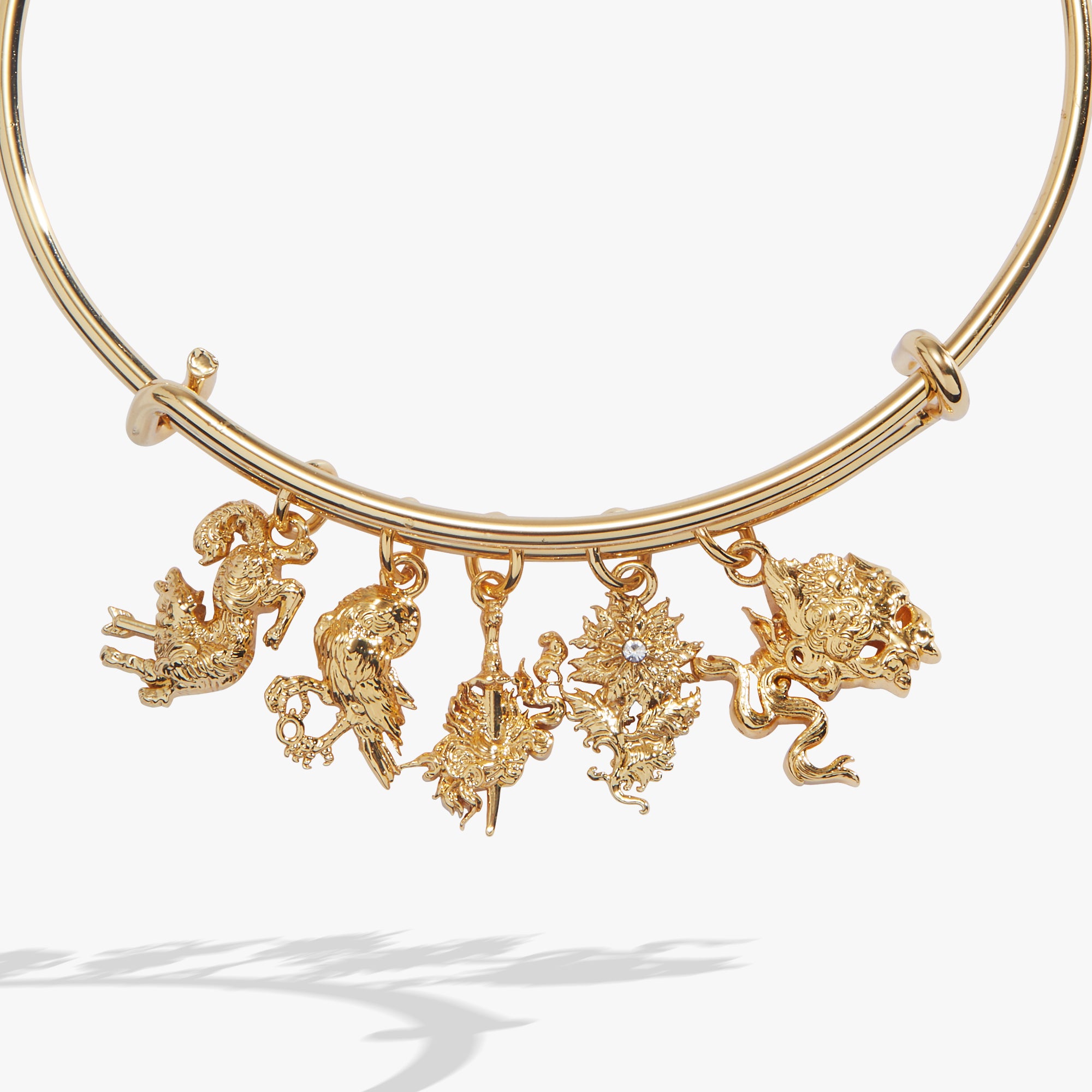 acotar-book-series-charm-bangle-2-AL260791FSG
