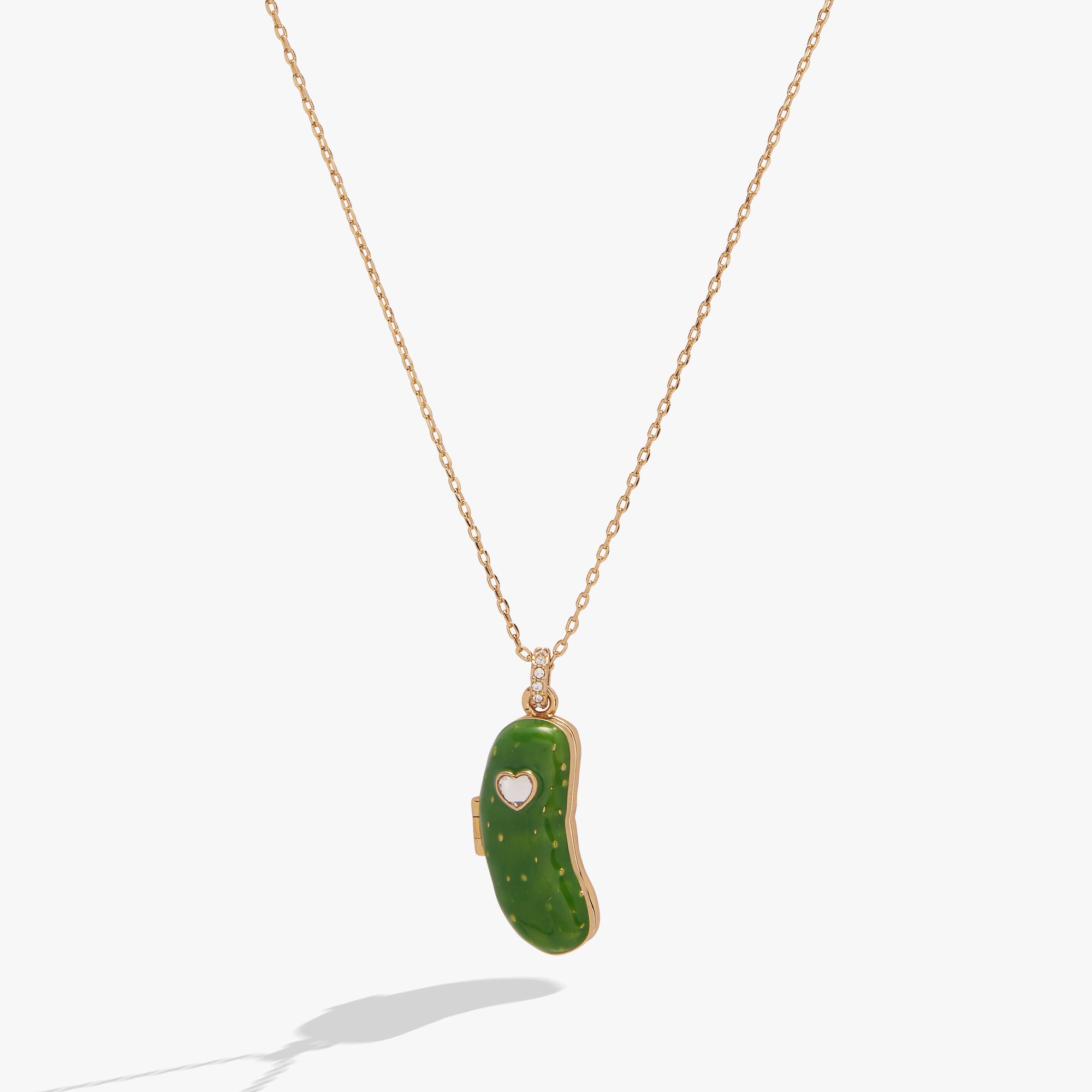 pickle-locket-necklace-1-AO260471FSG