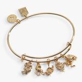 acotar-book-series-charm-bangle-1-AL260791FSG