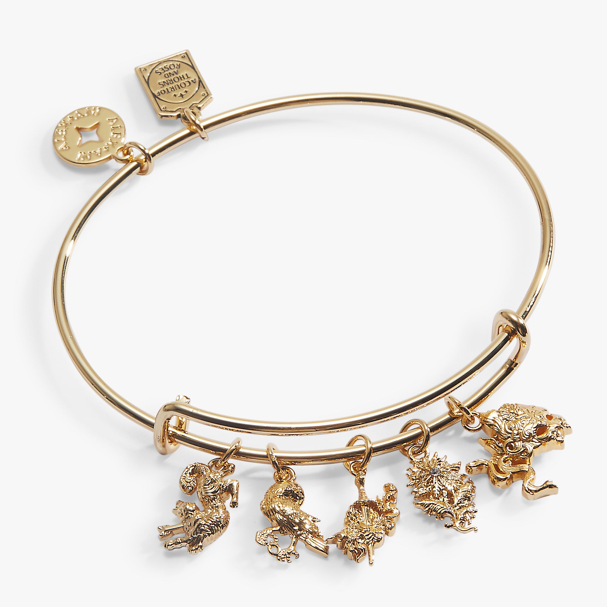 acotar-book-series-charm-bangle-1-AL260791FSG