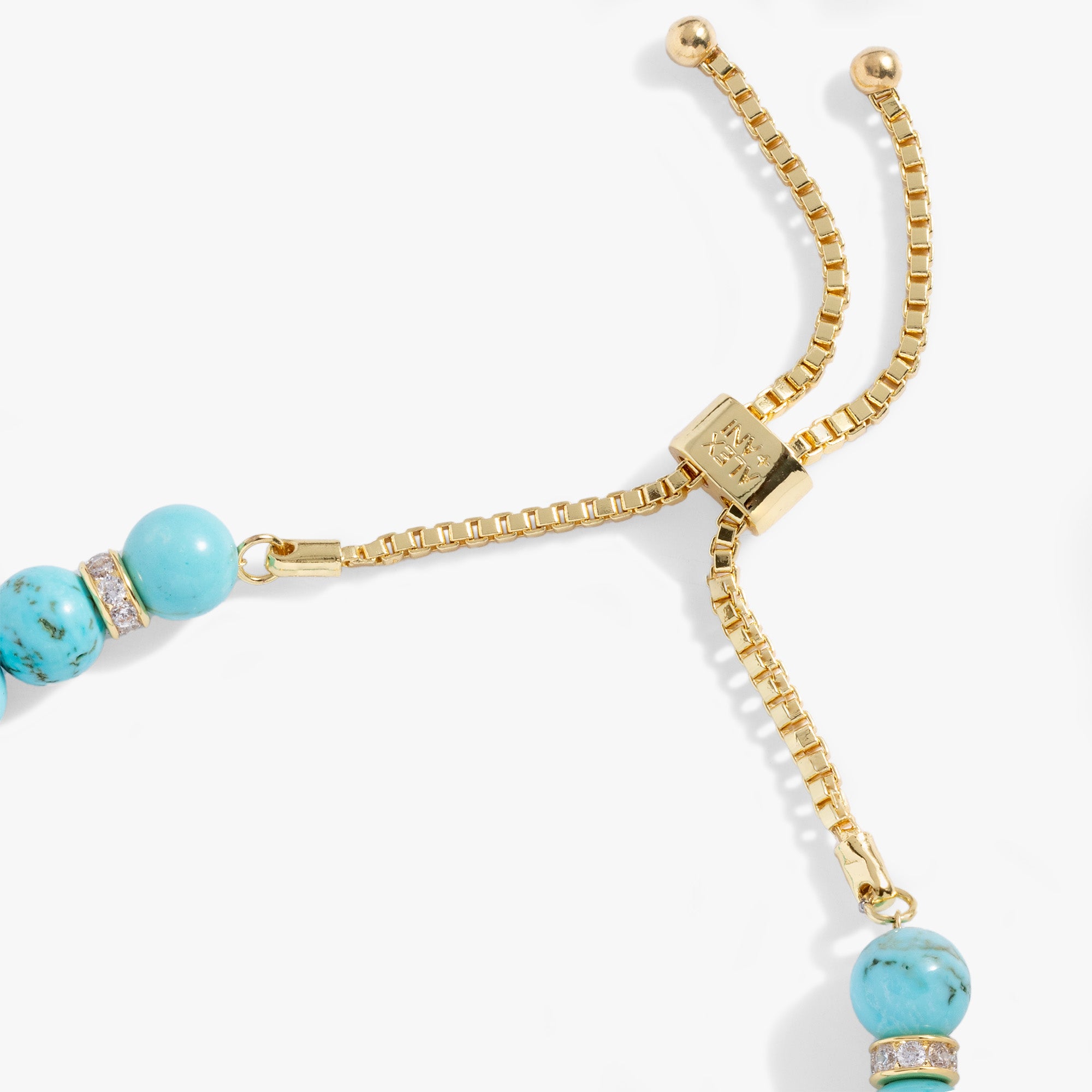 Evil Eye Bolo Bracelet Alex and Ani – ALEX AND ANI - Main Image