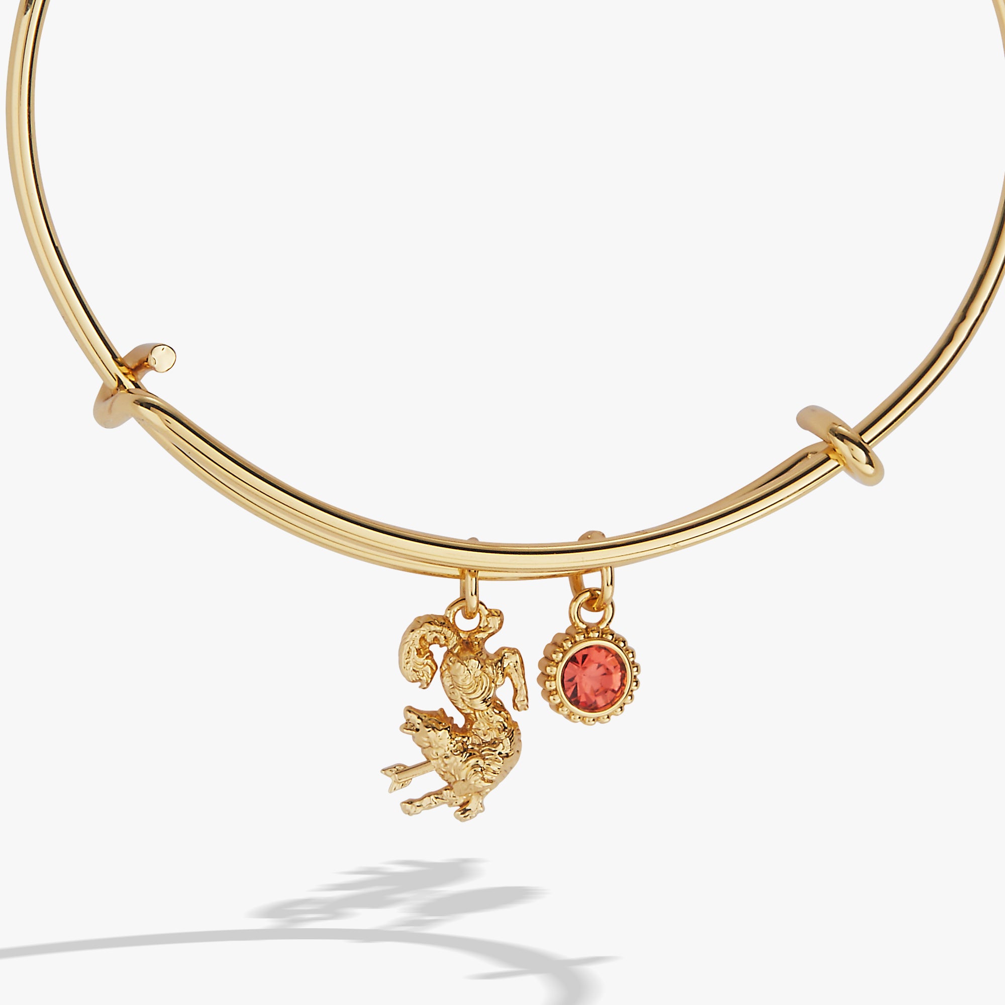 acotar-wolf-charm-bangle-2-AL260790FSG