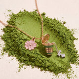Input ingredient 1