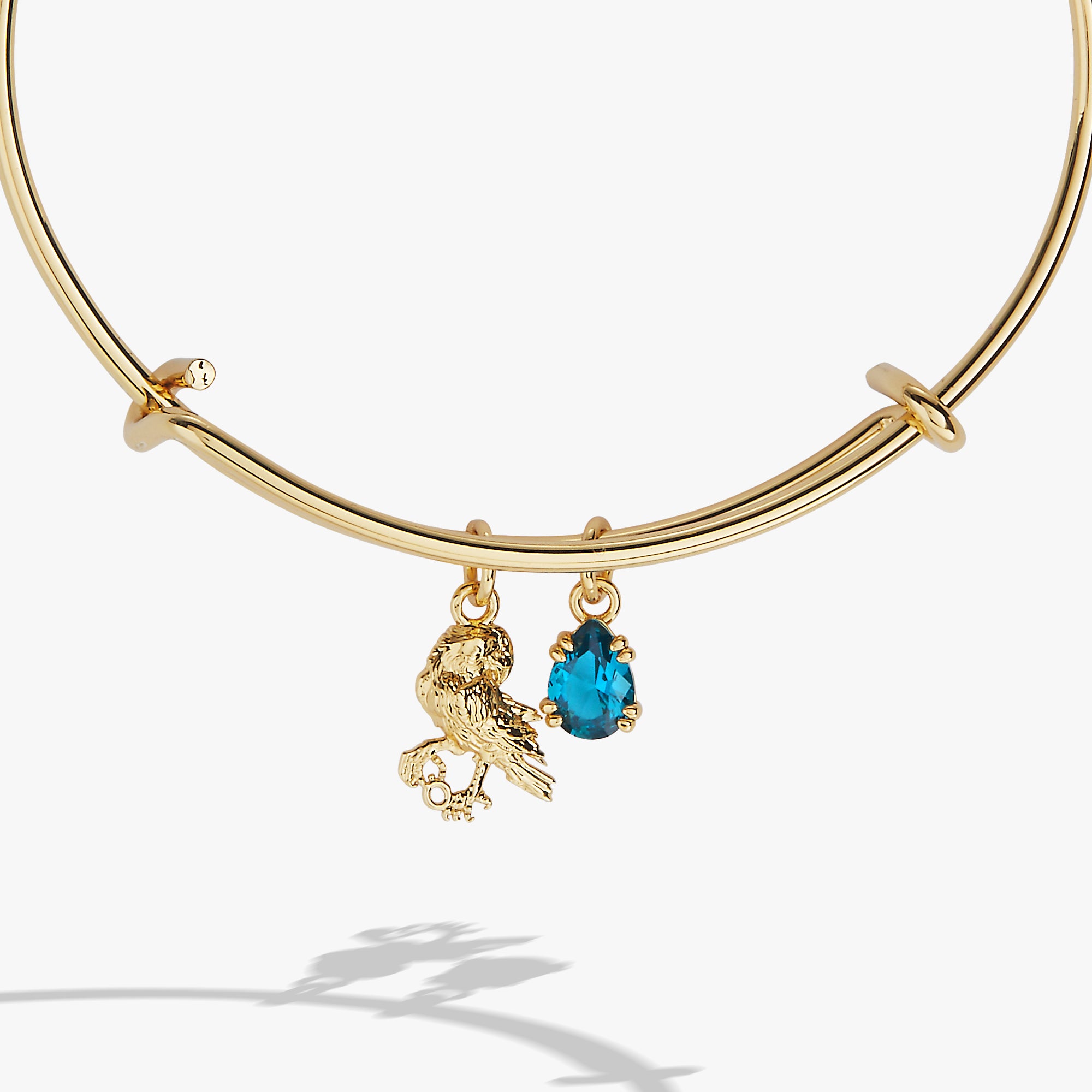 acotar-acomaf-crow-charm-bangle-2-AL260795FSG