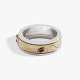 Football 'Touchdown' Fidget Ring