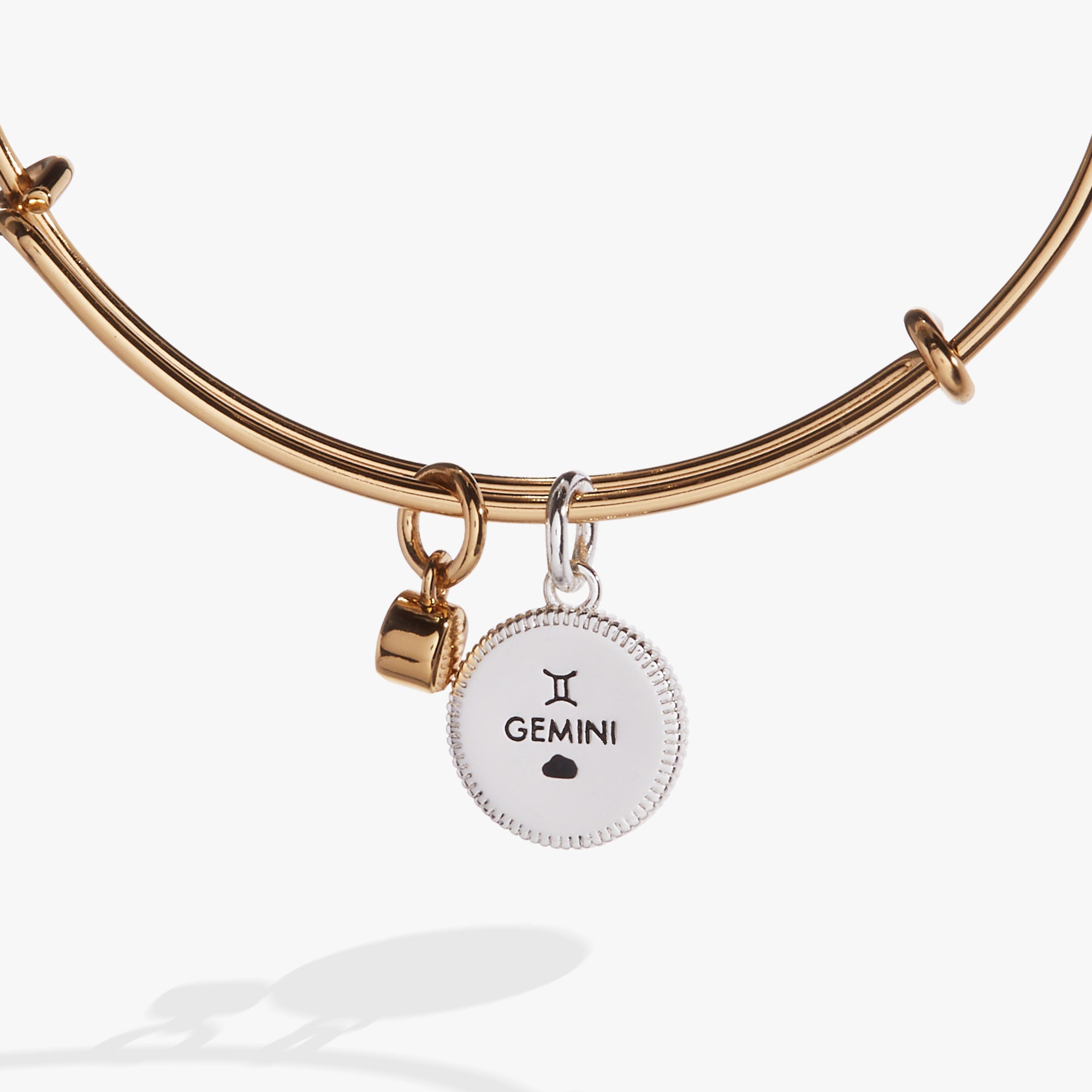 Gemini Zodiac Charm Bangle Alex and Ani – ALEX AND ANI