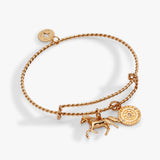 Horse Rope Textured Charm Bangle