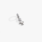 Stainless Steel Silver