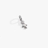 Stainless Steel Silver