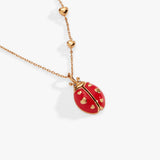 'Make Your Own Luck' Ladybug Locket Pendant