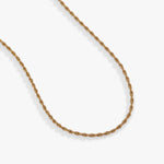 Stainless Steel Gold