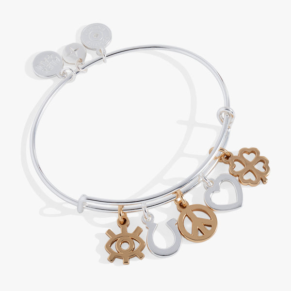 Mixed Symbol Multi-Charm Bangle | Alex and Ani – ALEX AND ANI