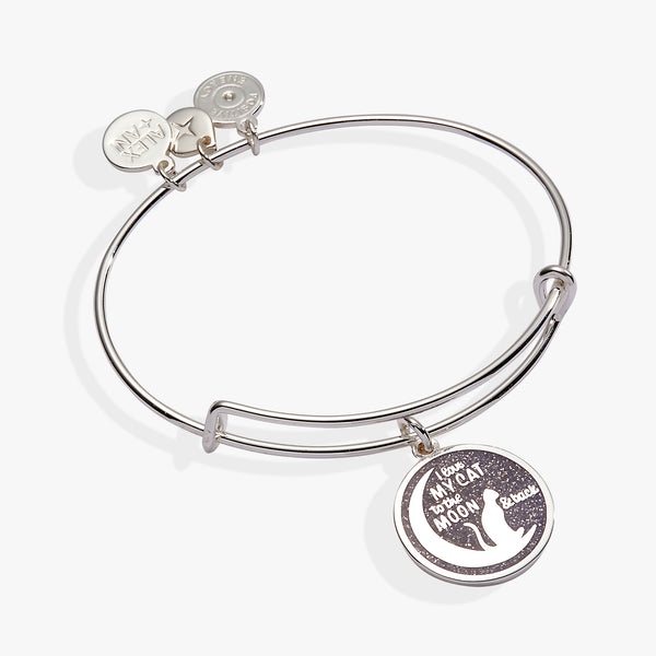 Alex And Ani Pet Loss Pawsitive Memories Shiny Silver