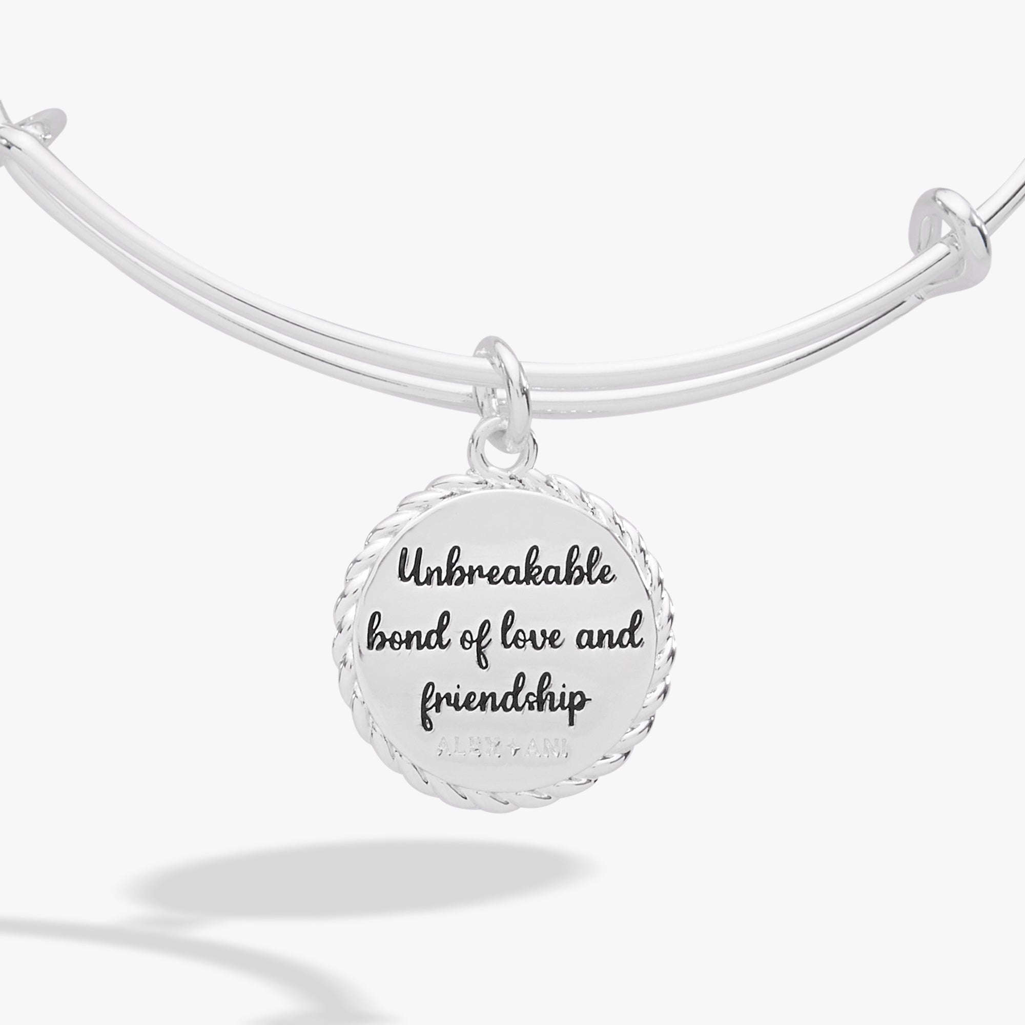 niece-BILY-charm-bangle-3-AO251180WSS_1