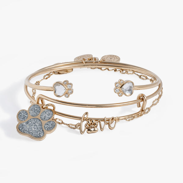 Charm Bracelet Alex And Ani Friends Collection Ireland Charm