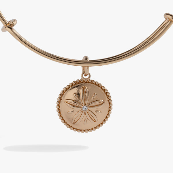 Ubuy Alex And Ani Sand Dollar Necklace Sand Dollar Necklace Alex