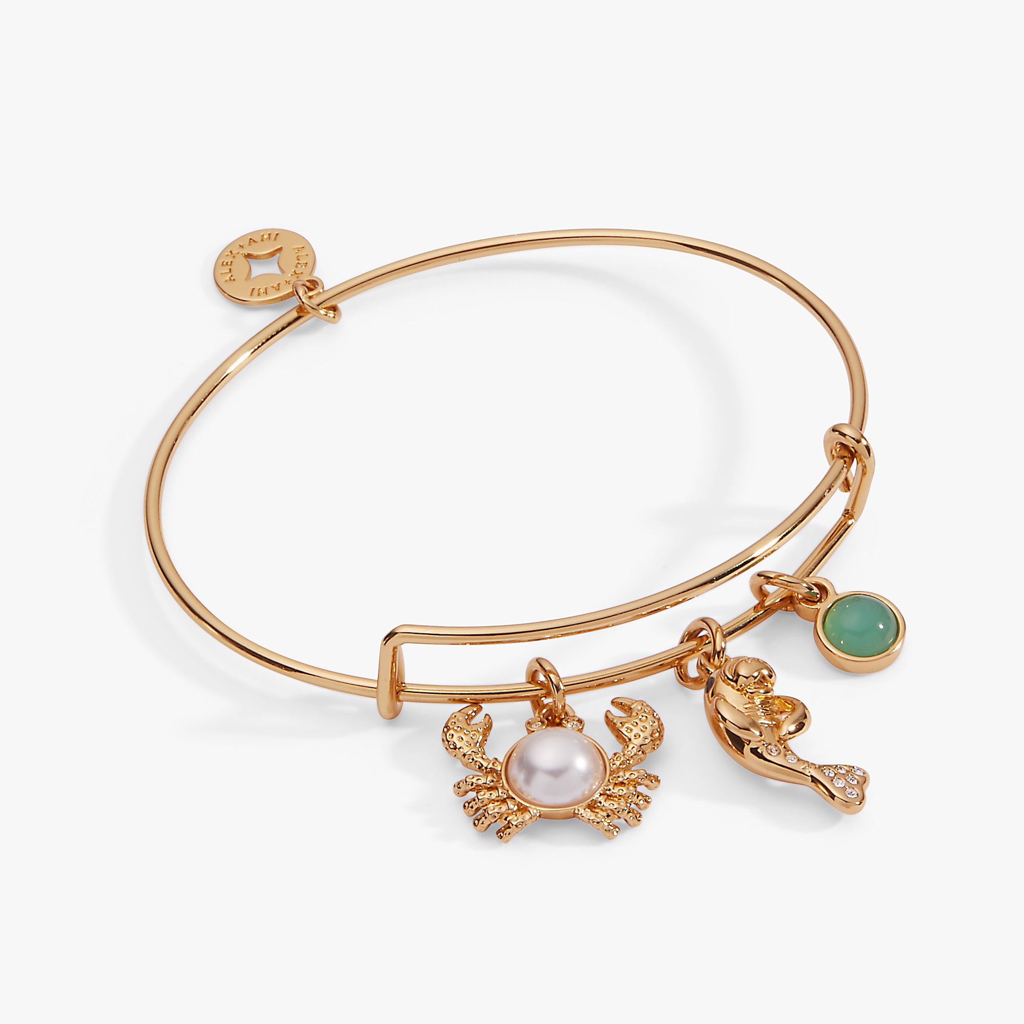 UNDER THE SEA ALEX AND ANI UNDER THE SEA ALEX AND ANI