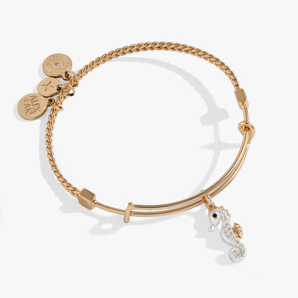 alex and ani fish hook Seahorse Charm Bangle