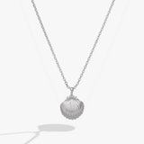 Salt + Sea 'Seashells Are Love Letters In The Sand' Seashell Locket Pendant