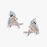 Tufted Titmouse Bird Stud Earrings