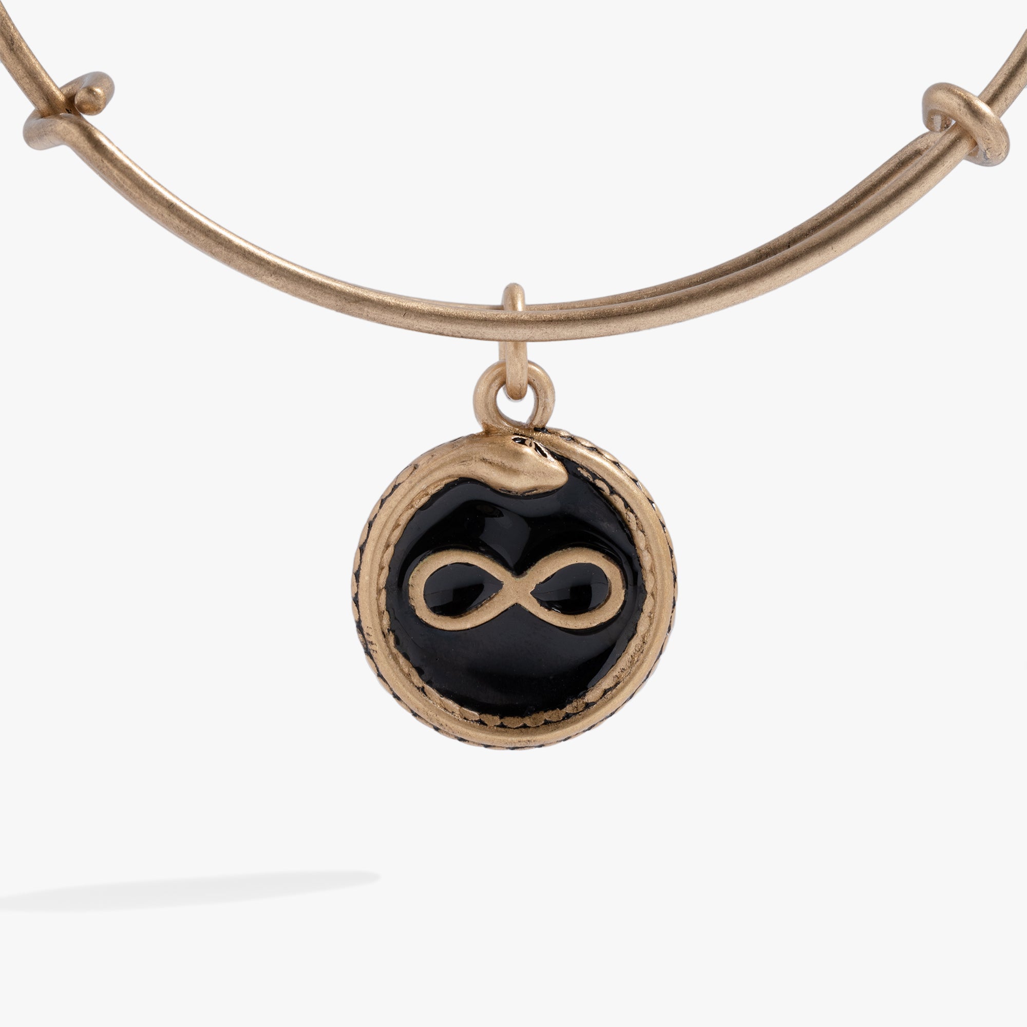 Untamed Snake Charm Bangle Alex and Ani – ALEX AND ANI