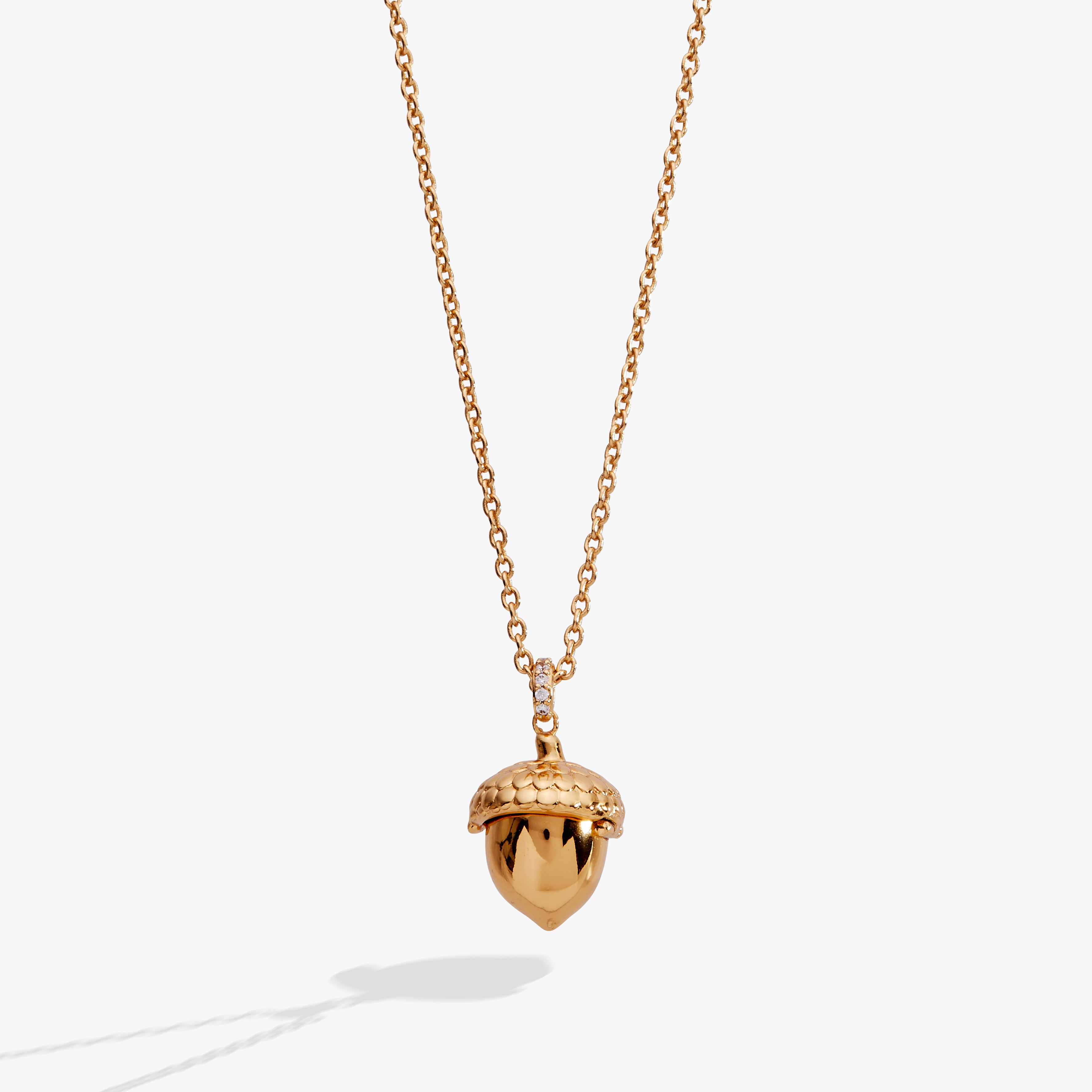 SOM - Woodland Acorn Locket Necklace | Alex and Ani – ALEX AND ANI