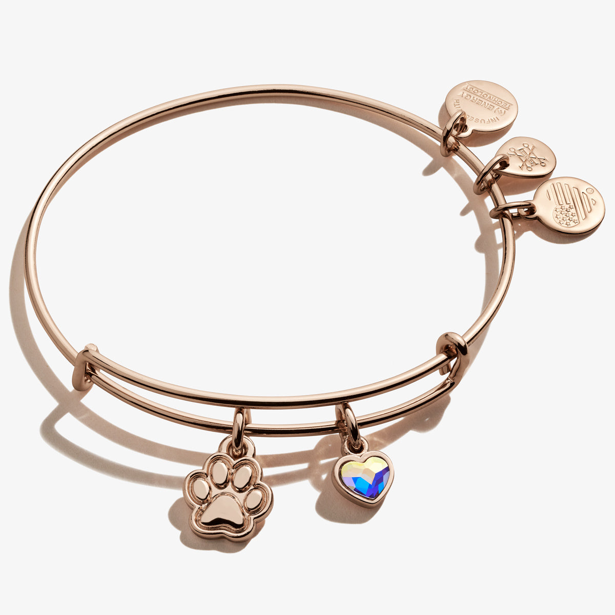 Alex and ani prints of love charm bangle Clearance