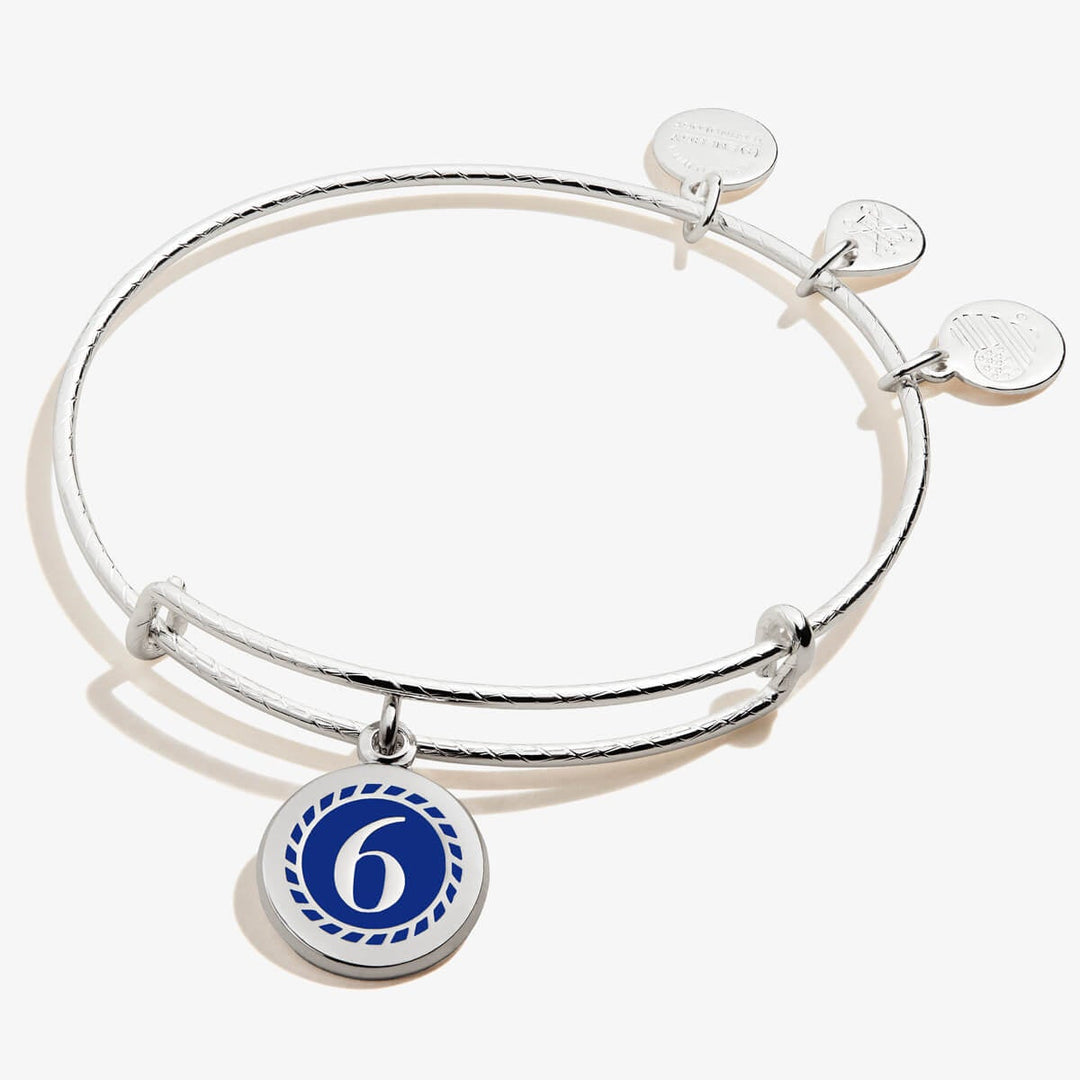 Number 6 Charm Bangle Bracelet - Alex and Ani – ALEX AND ANI