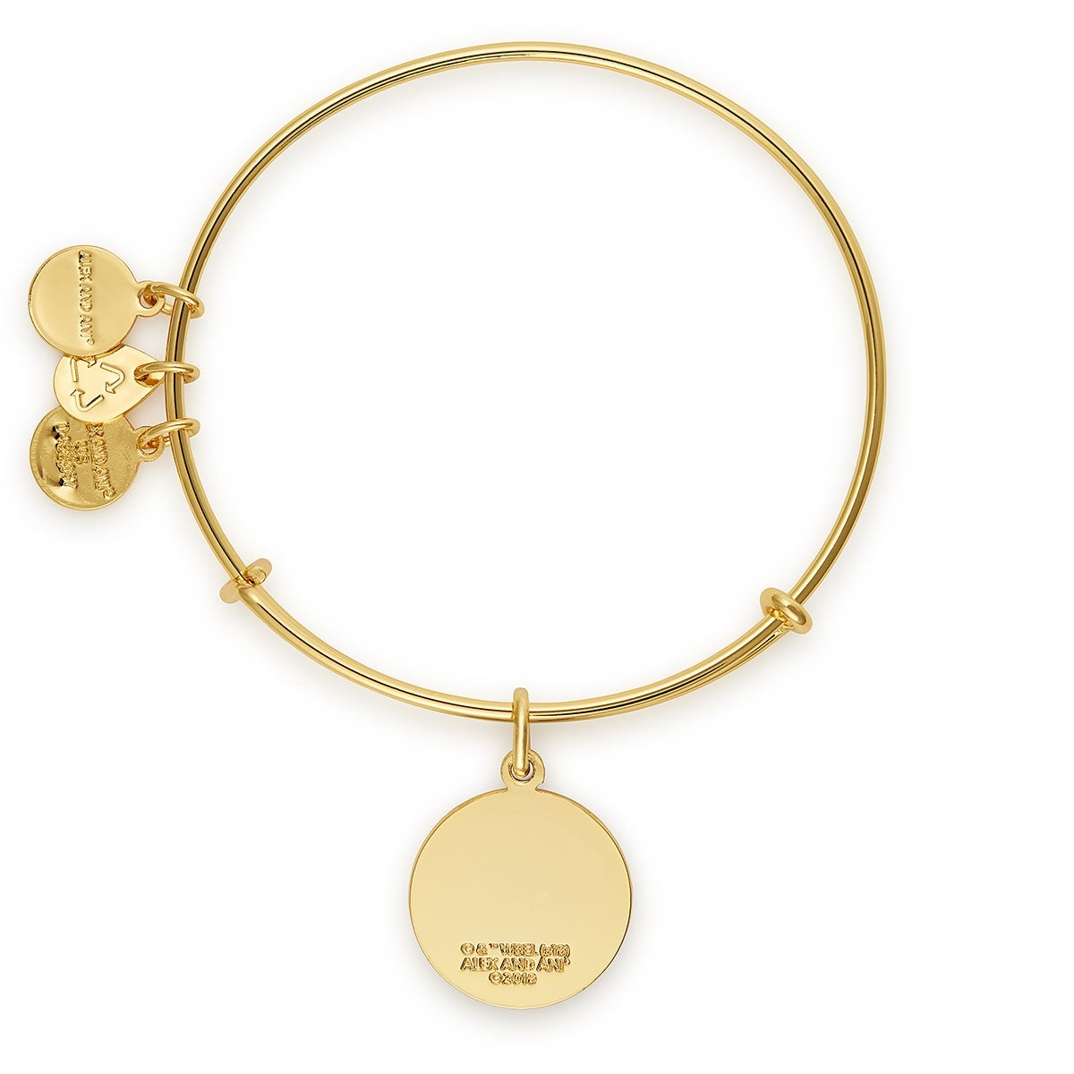 Harry Potter™ 'The Wand Chooses the Wizard' Charm Bangle