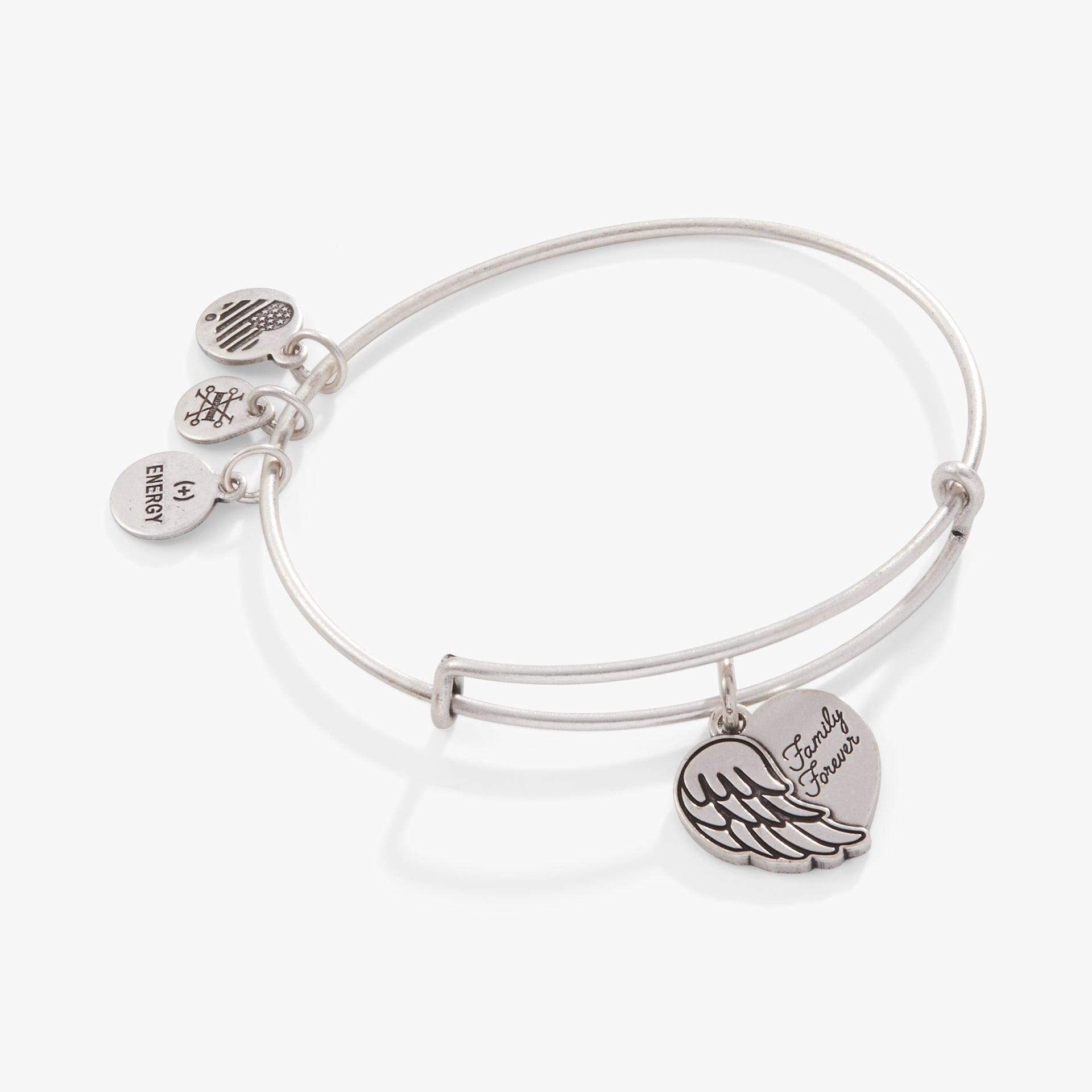 Family Forever' Angel Wing Heart Charm Bangle Alex and Ani