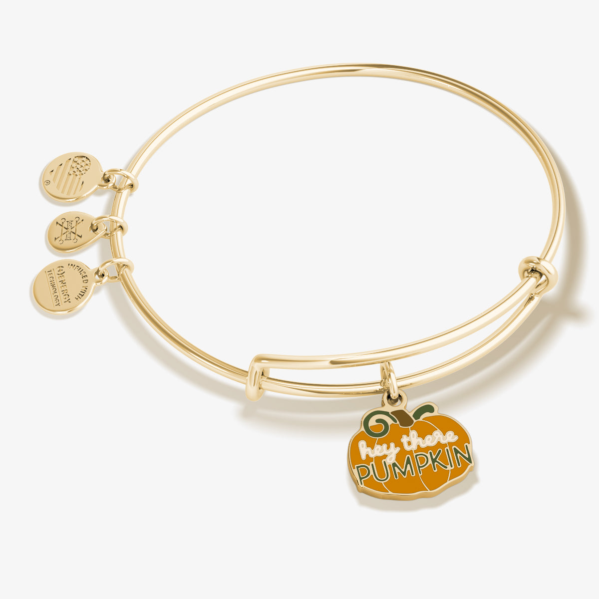 'Hey There Pumpkin' Charm Bangle Bracelet