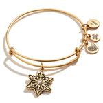 Rafaelian Gold
