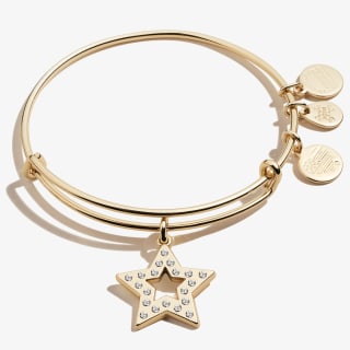 Moon + Star Charm Anklet - Alex and Ani
