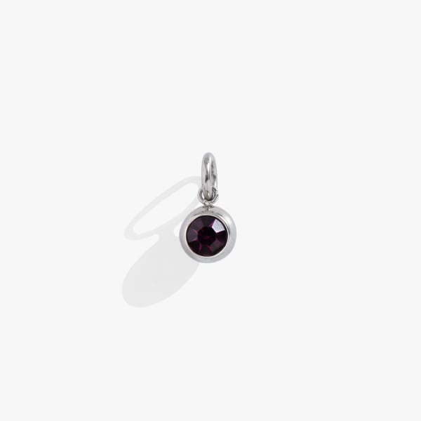 /fast-image/h_600/a-n-a/files/interchangeable-birthstone-charm-february-1-AA8421241STS.jpg