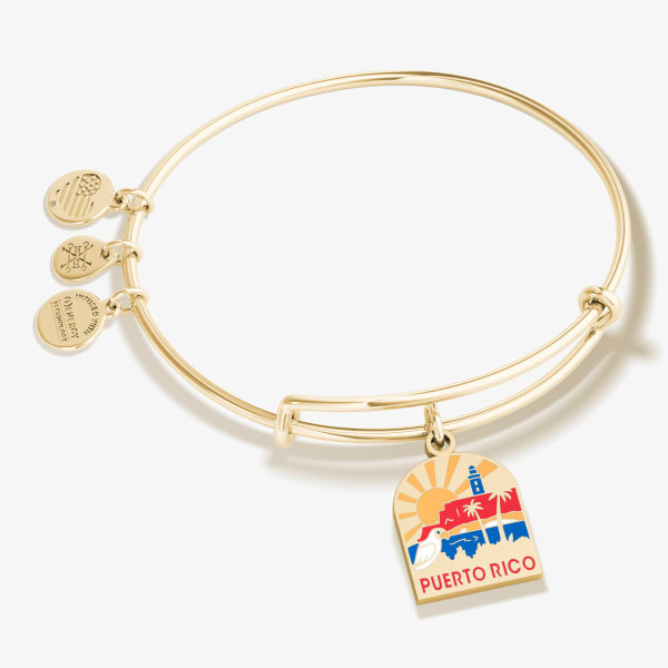 Alex and Ani The Mystical and The Magical Gold Wish Golden Days Wrap  Bracelet