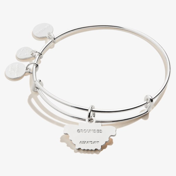 /fast-image/h_600/a-n-a/products/Comma-Butterfly-Charm-Bangle-Silver-Front-A21EBBOM5SS.jpg