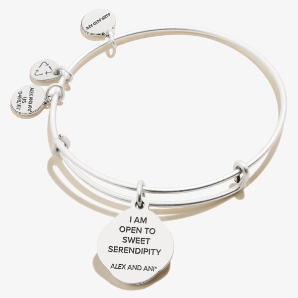 /fast-image/h_600/a-n-a/products/Four-Leaf-Clover-Sweet-Serendipity-Charm-Bangle-Silver-Back-A21EBFLCRS.jpg
