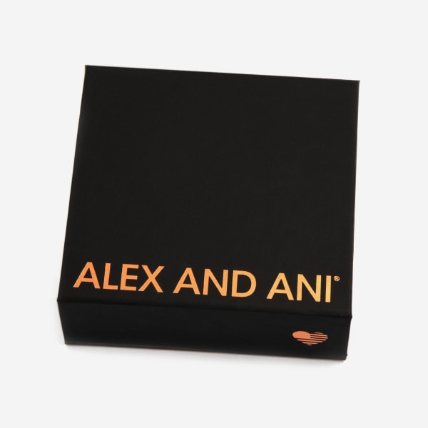 ALEX AND ANI Symbols Travel Jewelry Case