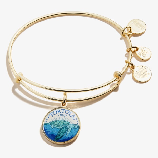 /fast-image/h_600/a-n-a/products/Tortola-Charm-Bangle-Gold-Front-A19EBTORTSG.jpg