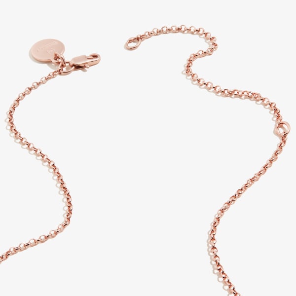 /fast-image/h_600/a-n-a/products/Watermelon-Charm-Necklace-Rose-Gold-Front-A21ENWTRSR.jpg