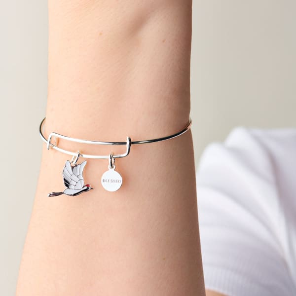 /fast-image/h_600/a-n-a/products/blessed-crane-duo-charm-bangle-bracelet-on-model-AA754423SS-1200x1200-bd93c0f_1.jpg